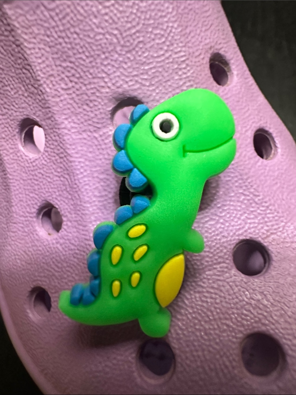 Cute Green Dinosaur Reptile Shoe Charm